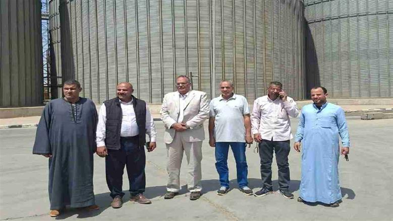 توريد القمح