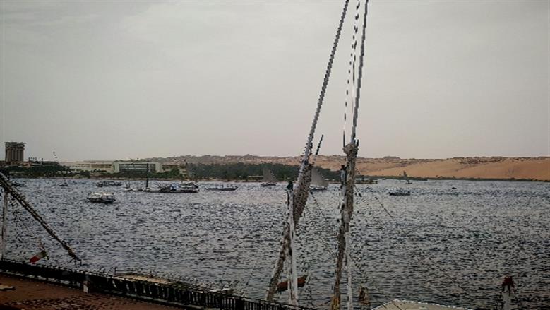 شيماء طه