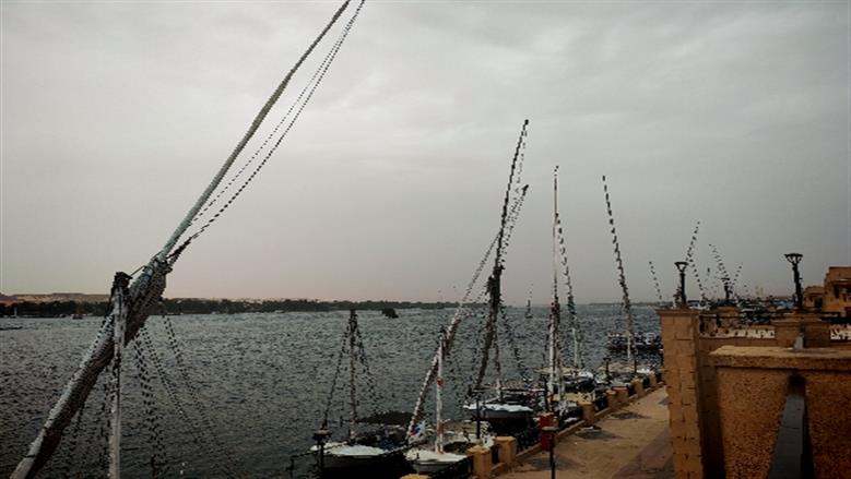 شيماء طه