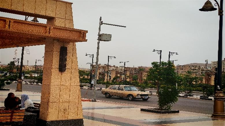 شيماء طه