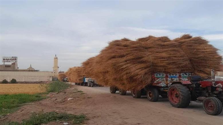 مصرع طفل دهسا أسفل جرار في الغربية 