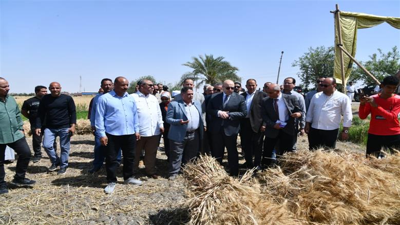 محافظ الفيوم يفتتح موسم حصاد القمح بأحد الحقول الزراعية بقصر رشوان