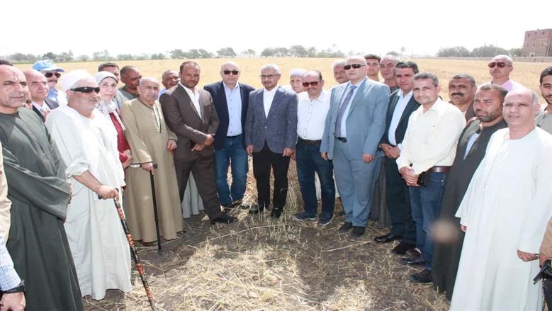 محافظ بني سويف يفتتح موسم حصاد القمح