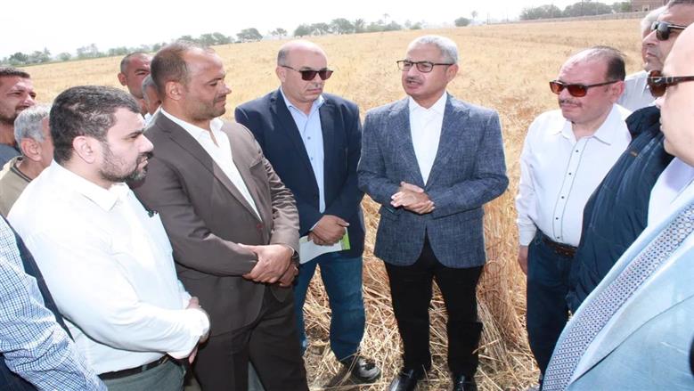 محافظ بني سويف يفتتح موسم حصاد القمح