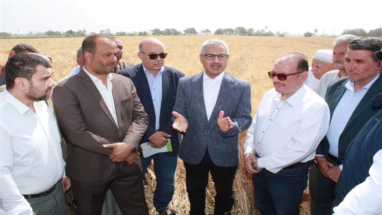 محافظ بني سويف يفتتح موسم حصاد القمح