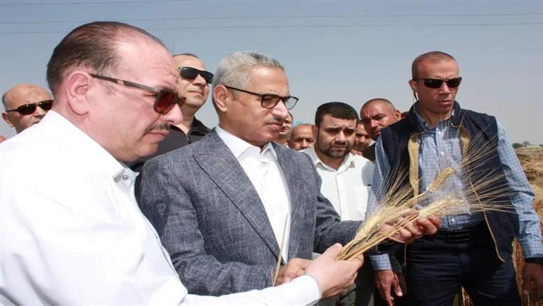 محافظ بني سويف يفتتح موسم حصاد القمح
