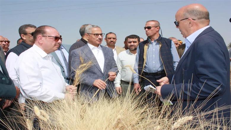 محافظ بني سويف يفتتح موسم حصاد القمح