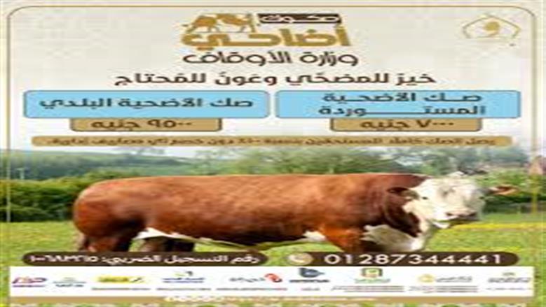 صكوك الأضاحي 2026 - أرشيفية