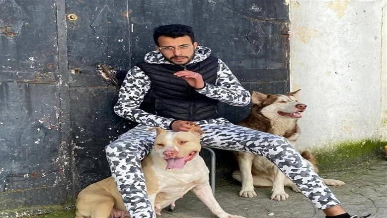 أنهت حياته وهو غائب عن الوعي.. قصة هجوم كلاب مفترسة على شاب في طنجة