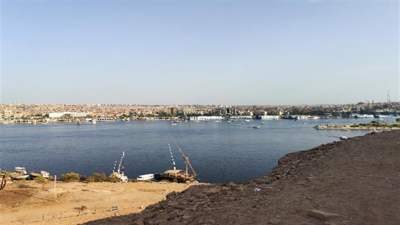 شيماء طه 