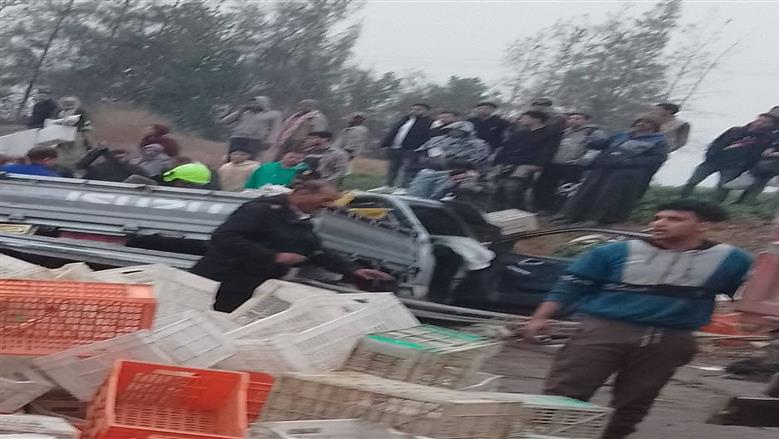 المنوفية