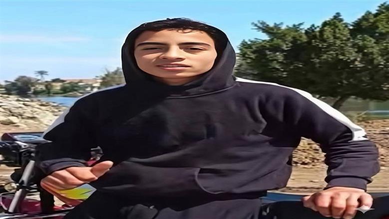 المنوفية