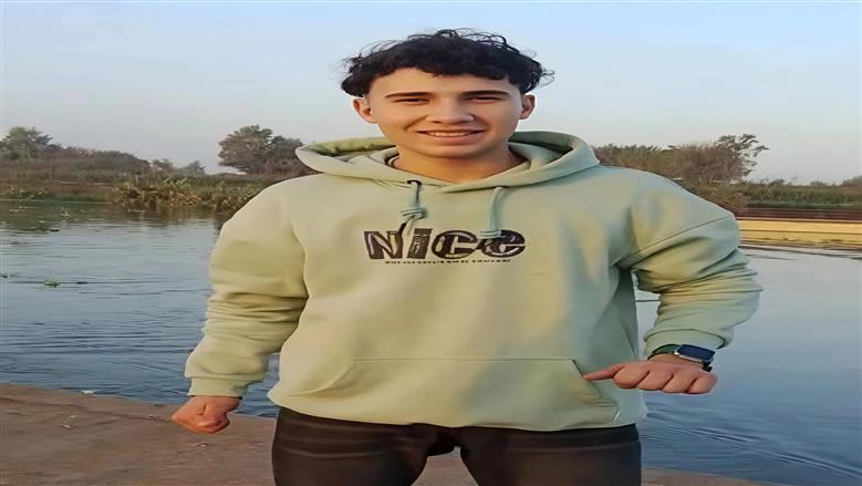 المنوفية