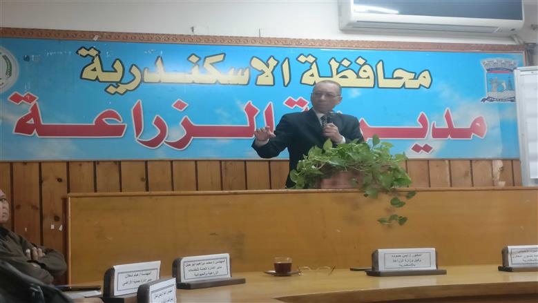 «الزراعة» ترد على شكاوى المواطنين من النمل الأبيض بالإسكندرية: تحت السيطرة