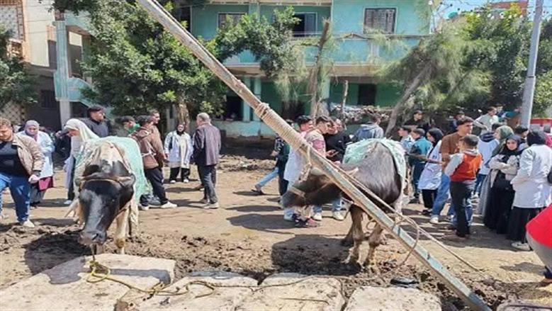 مستفيدون من «حياة كريمة»: غيّرت حياتنا إلى الأحسن وبثت فينا الأمل ووفرت فرص عمل