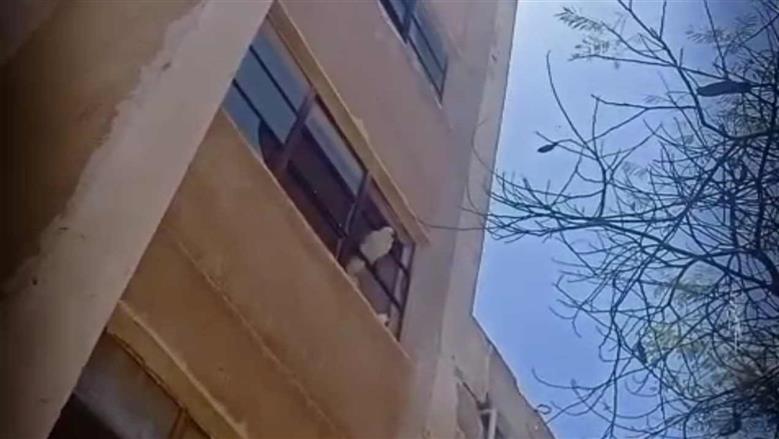 المنوفية