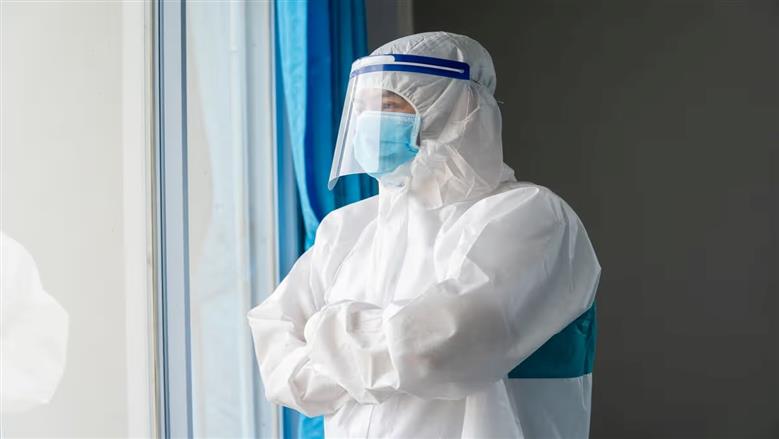 فيروس كورونا الخفافيش