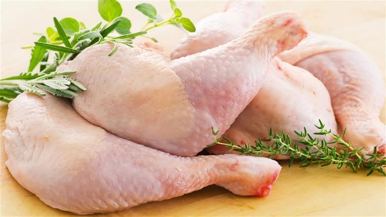 استقرار سعر الفراخ البيضاء وتراجع الساسو اليوم السبت 25-4-2026 في بورصة الدواجن