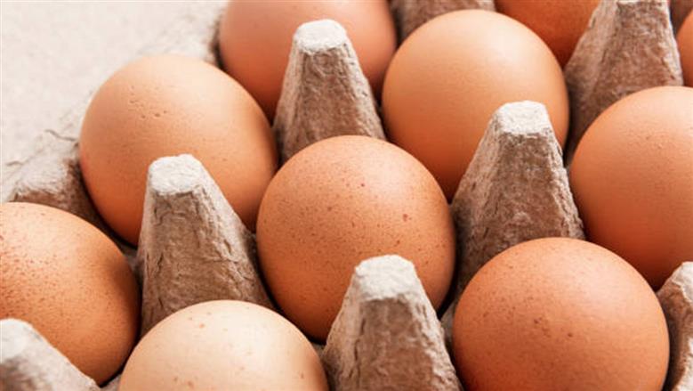 سعر طبق البيض اليوم السبت 25-4-2026 في بورصة الدواجن والمحال.. تحرك جديد