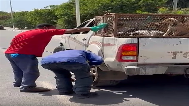 المغرب