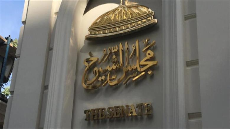 أعضاء بـ«الشيوخ»: تعديل قانون التأمينات يحقق العدالة الاجتماعية لأصحاب المعاشات
