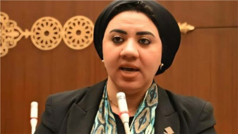 النائبة أميرة صابر: مصلحة الطفل أساس أي تعديلات في قانون الأسرة