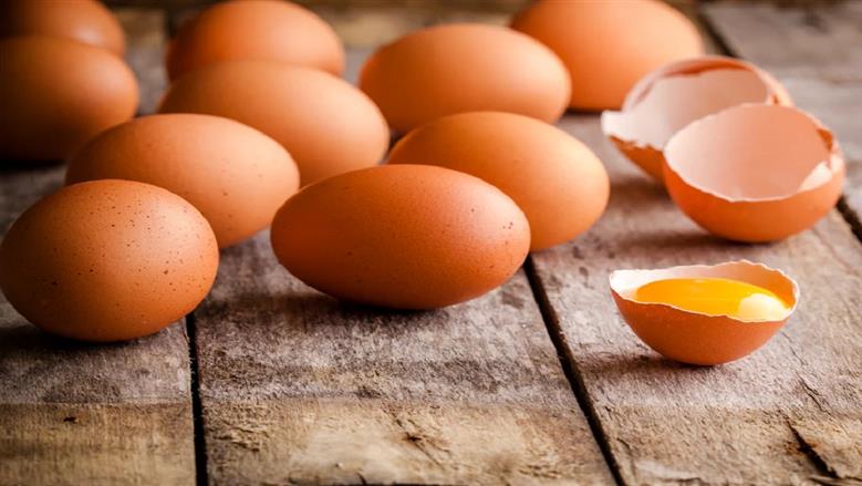أسعار كرتونة البيض اليوم الثلاثاء 28-4-2026 في بورصة الدواجن والمحال