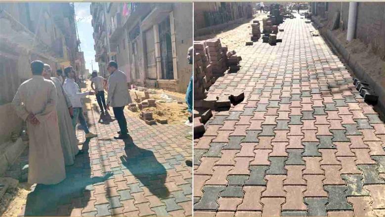 المنوفية
