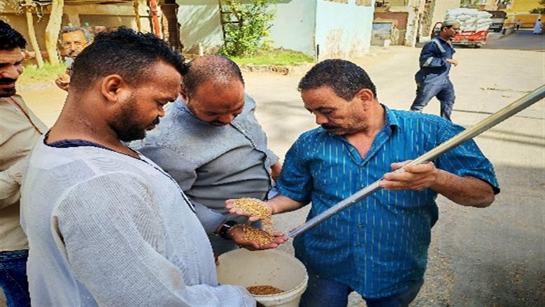 شيماء طه