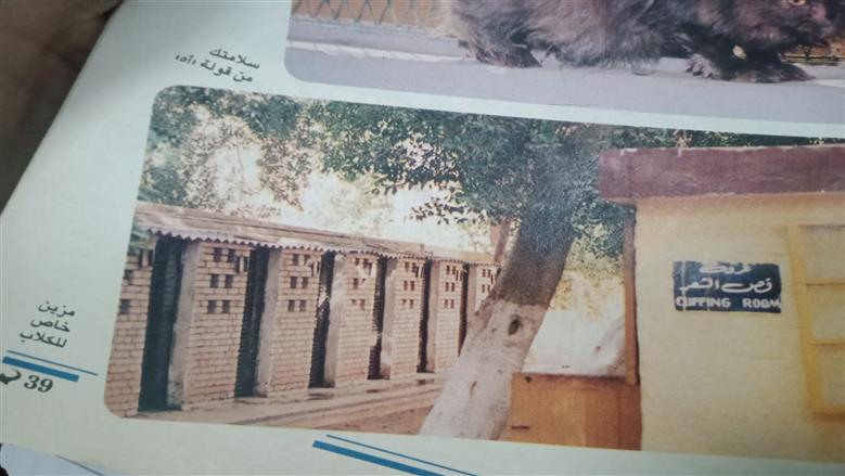 غرف فاخرة والليلة بـ10 جنيهات.. مستشفى فندقي بناه البريطانيون للكلاب في مصر