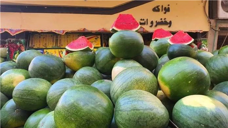 هل طُرح البطيخ قبل أوانه؟.. رئيس مركز معلومات المناخ يحسم الجدل