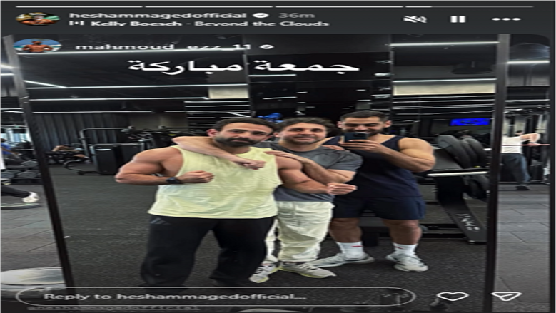 هشام ماجد