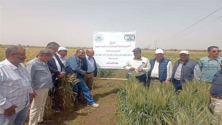  قيادات «البحوث الزراعية» في جولة تفقدية بمحطتي شندويل وكوم أمبو لمتابعة برامج القمح 