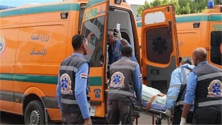 إصابة 16 شخصا في تصادم ميكروباص بسيارة ربع نقل على الطريق الزراعي بأسوان