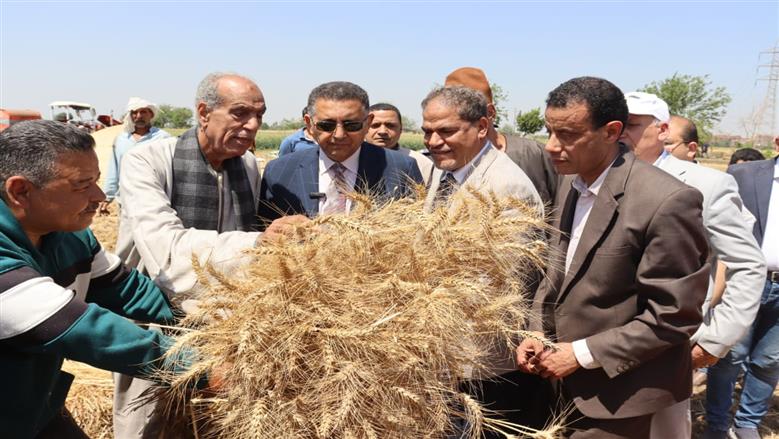 محافظ القليوبية يتفقد موسم حصاد القمح بمدينة قها ويؤكد: الدولة حريصة على دعم المزارع وتحقيق الأمن الغذائي
