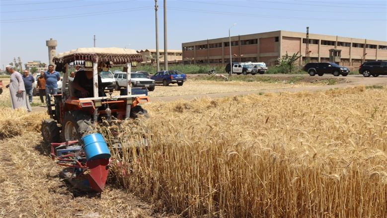 محافظ القليوبية يتفقد موسم حصاد القمح بمدينة قها ويؤكد: الدولة حريصة على دعم المزارع وتحقيق الأمن الغذائي