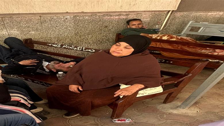 المنوفية