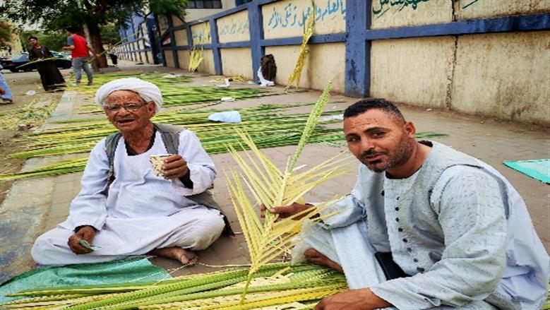 شيماء طه