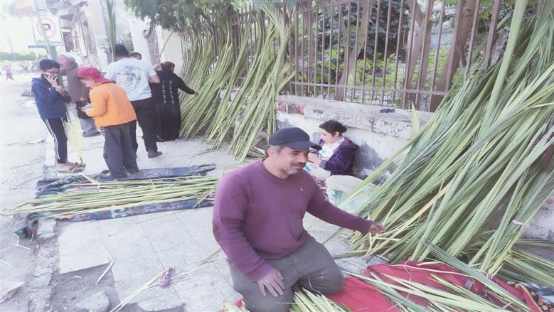 أجراس الكنائس تدق في المنيا احتفالاً بأحد الشعانين (صور)