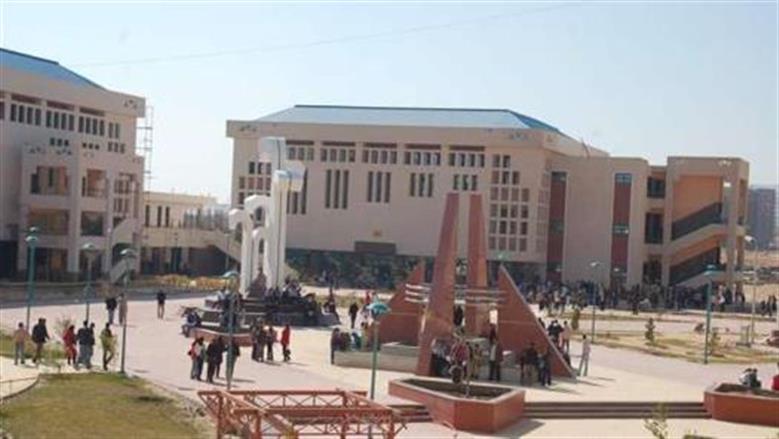 جامعة سوهاج تنجح في تسويق خدماتها للطلاب للوافدين إلكترونيًا بثلاث لغات 