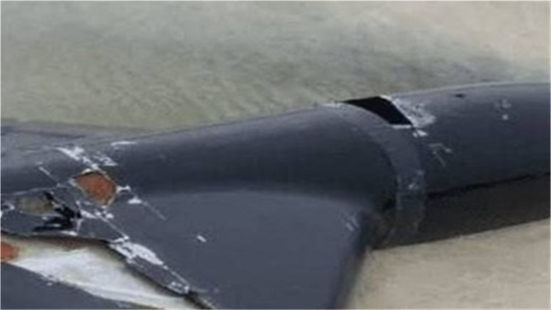 الحرس