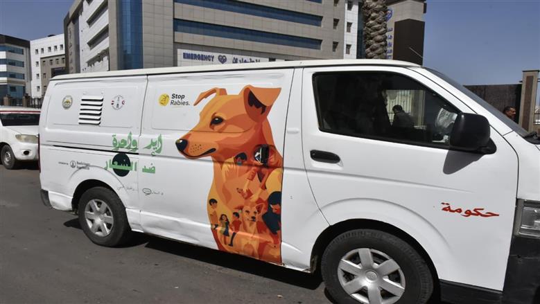 حملات بيطرية لتطعيم الكلاب وإيواءهم في شيلتر ببورسعيد