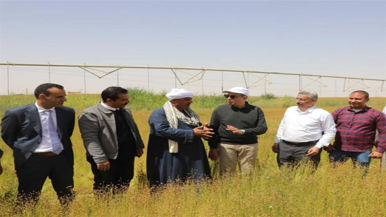 أوفى بوعده.. محافظ المنيا يشارك مزارعا لحظة حصاد الكتان في الصحراء 