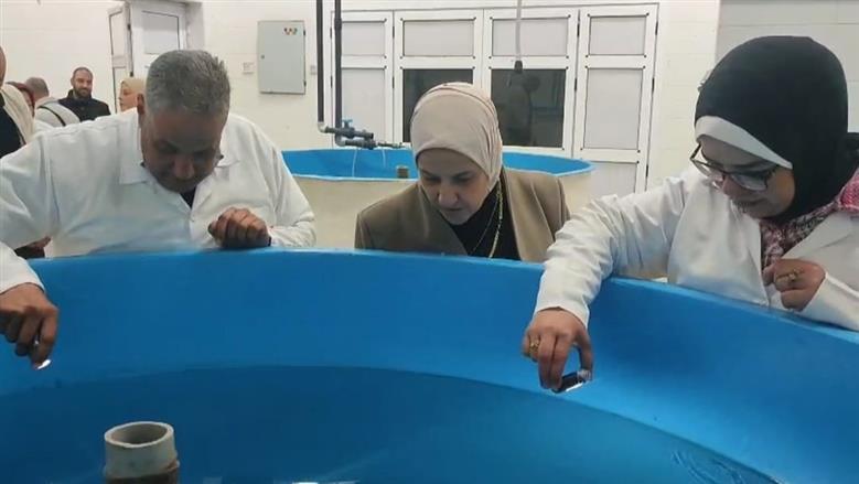 طفرة نوعية في دعم الثروة السمكية.. نجاح أول تفريخ صناعي لـ«البوري» بمصر