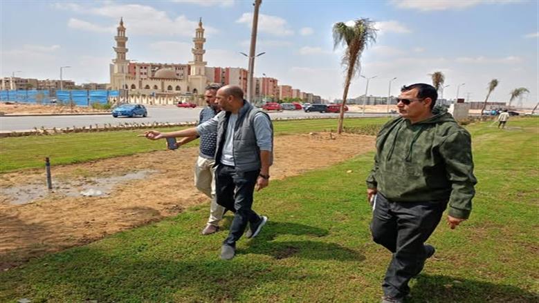  زراعة أكثر من 20 ألف شتلة زهور متنوعة واستبدال النجيل التالف في الشروق