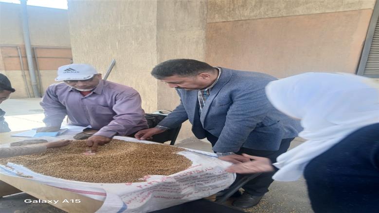 المنوفية