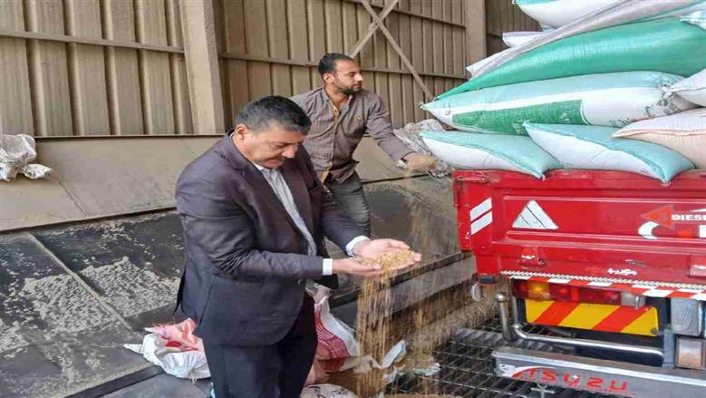 توريد القمح بالمنوفية