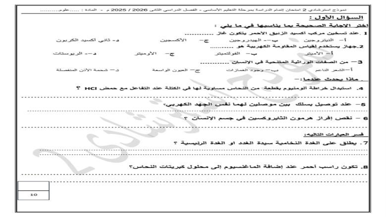 نموذج استرشادى 