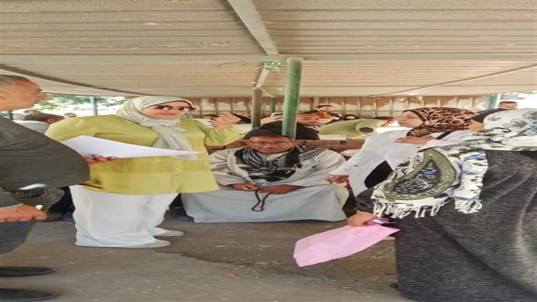 المنوفية 