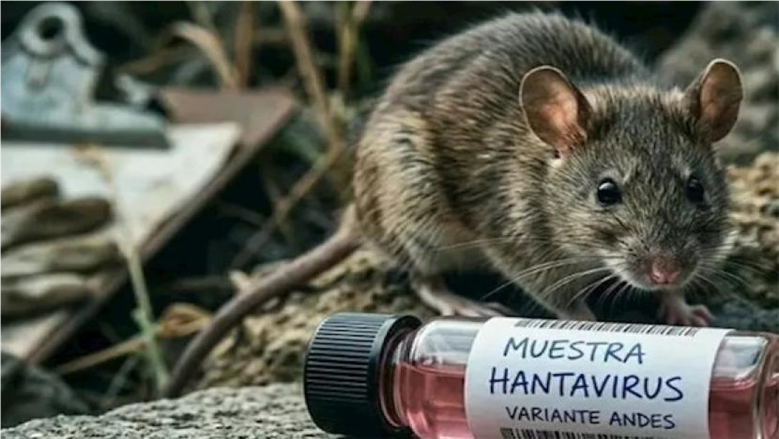 بعد وفاة 3 ركاب.. إسبانيا تبدأ إخلاء سفينة «فيروس هانتا» وسط إجراءات صحية مشددة